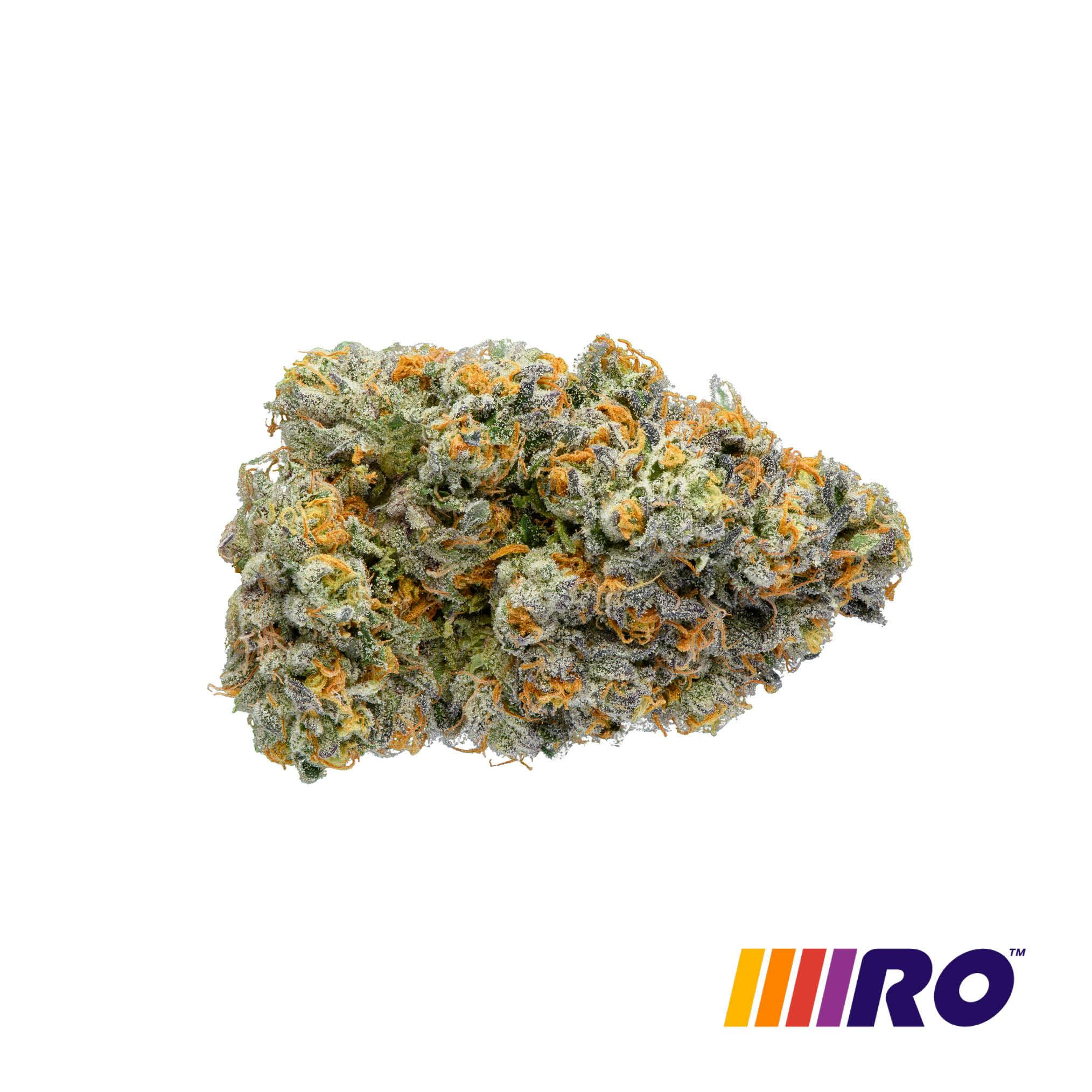 White Sherbo Flower