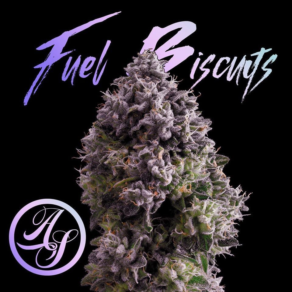 Product National Holistic Healing Center