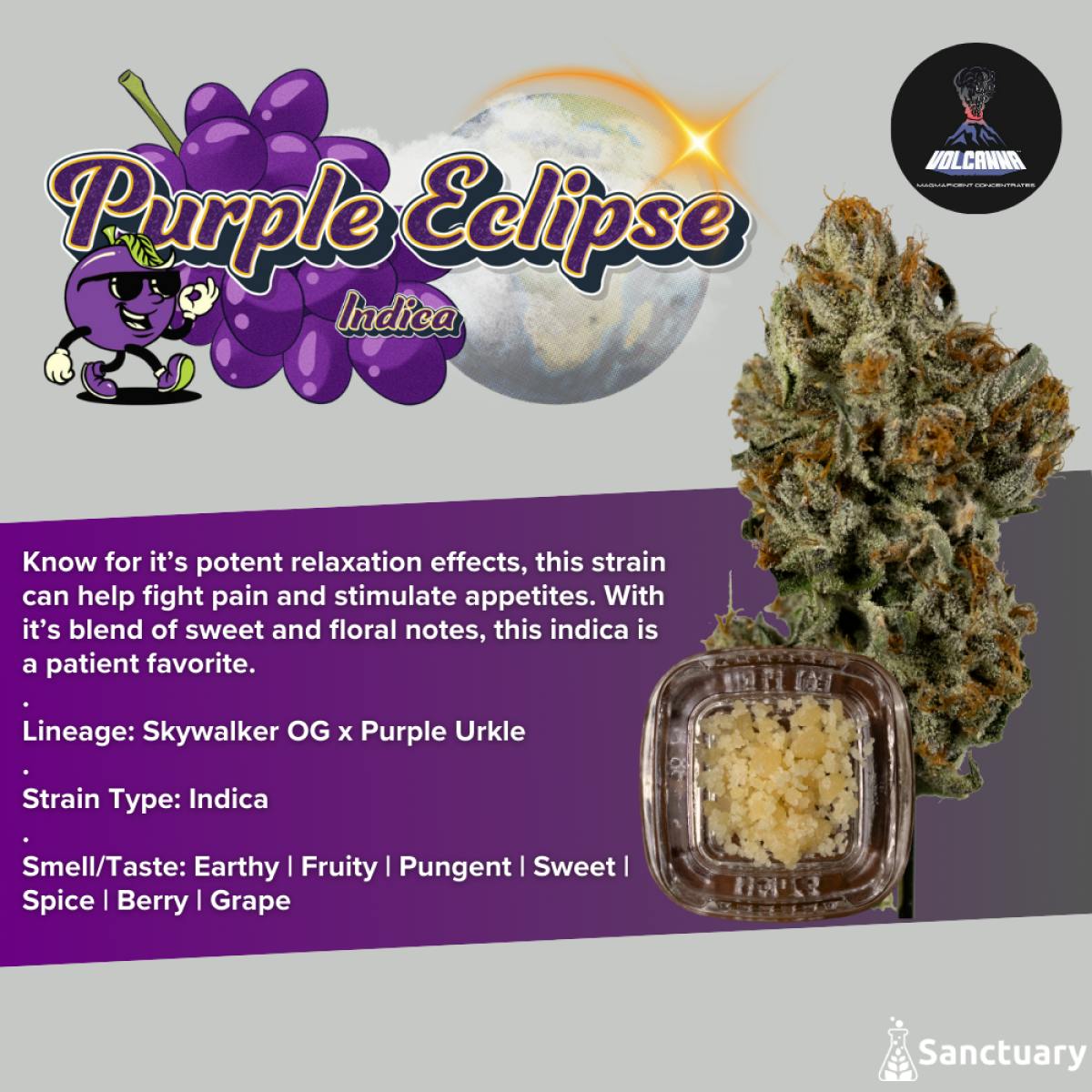 Purple Eclipse I Crumble I 1G