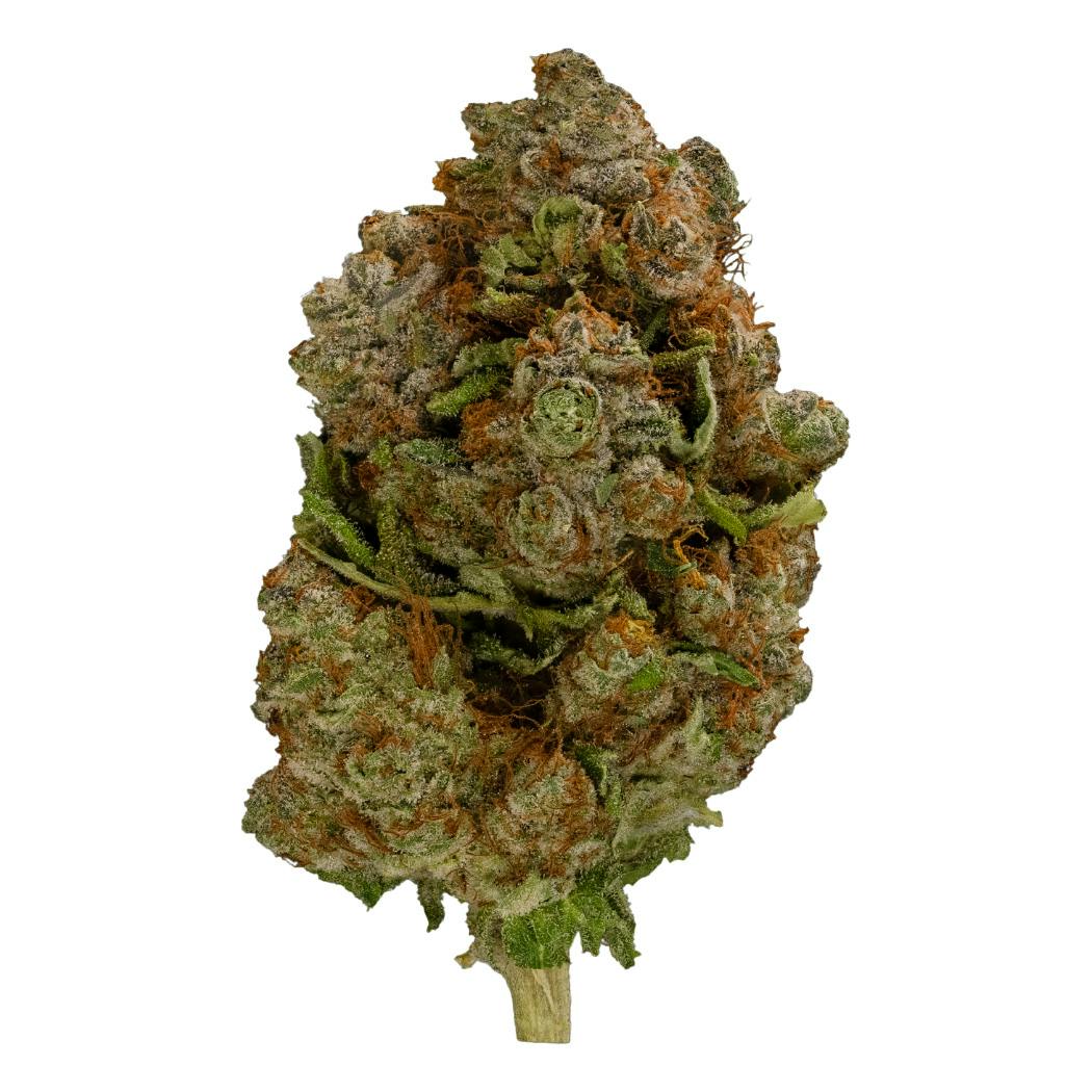 Banana Mango Whole Flower Curaleaf