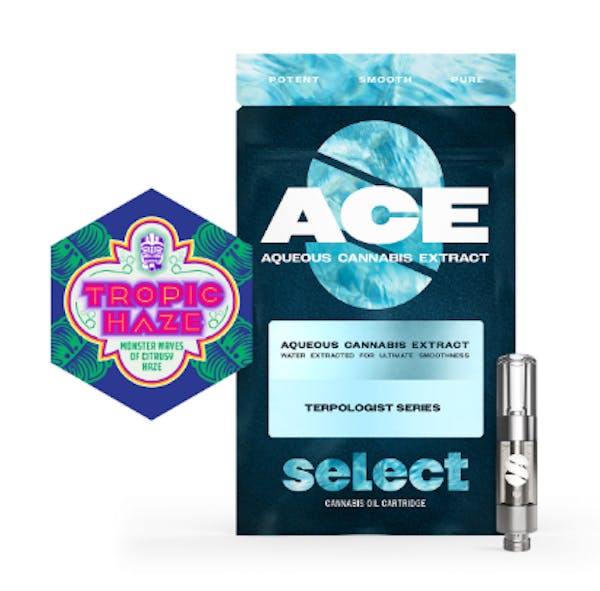 Select - Tropical Haze ACE 510 - 1G