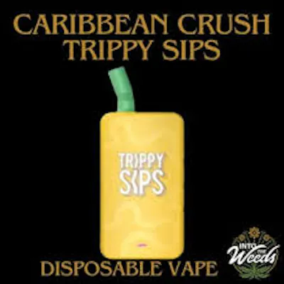Shop Weed Vapes Southern NJ – Best Disposable Vape & Carts