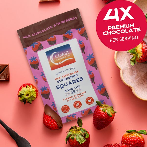 Milk Chocolate Strawberry Squares - 50mg - COAST