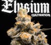 $99 | Elysium Ounces