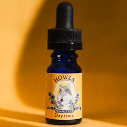 Daytime Max Tincture 500mg