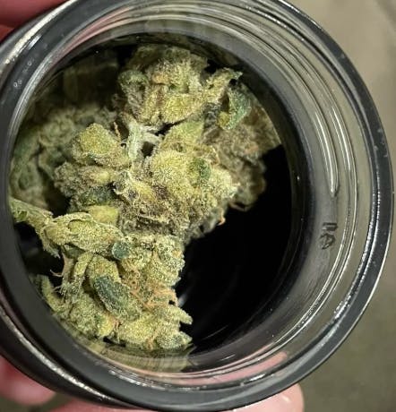 6 Point Reace Runtz 3.5g Jar