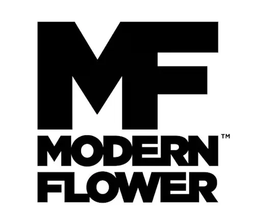 Modern Flower – White 99 Pre-Packaged-1
