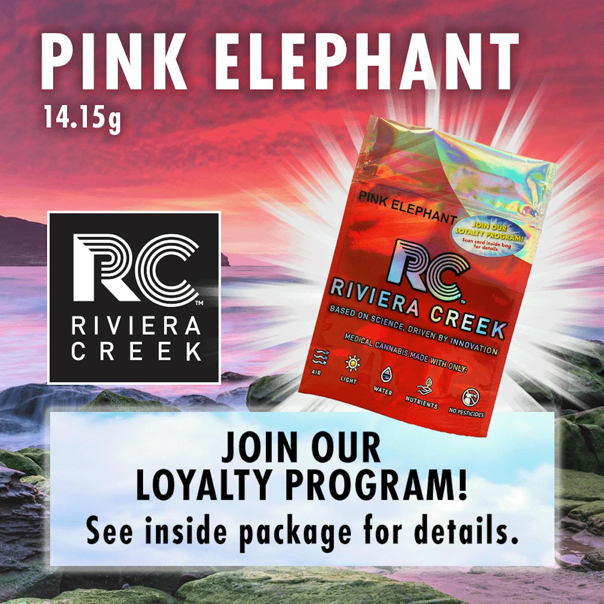 Photo of Pink Elephant