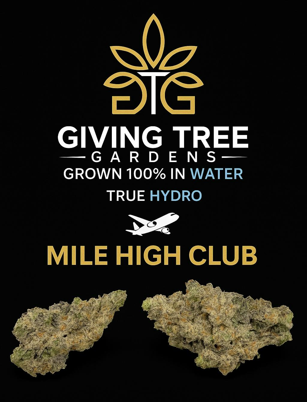 Mile High Club Flower