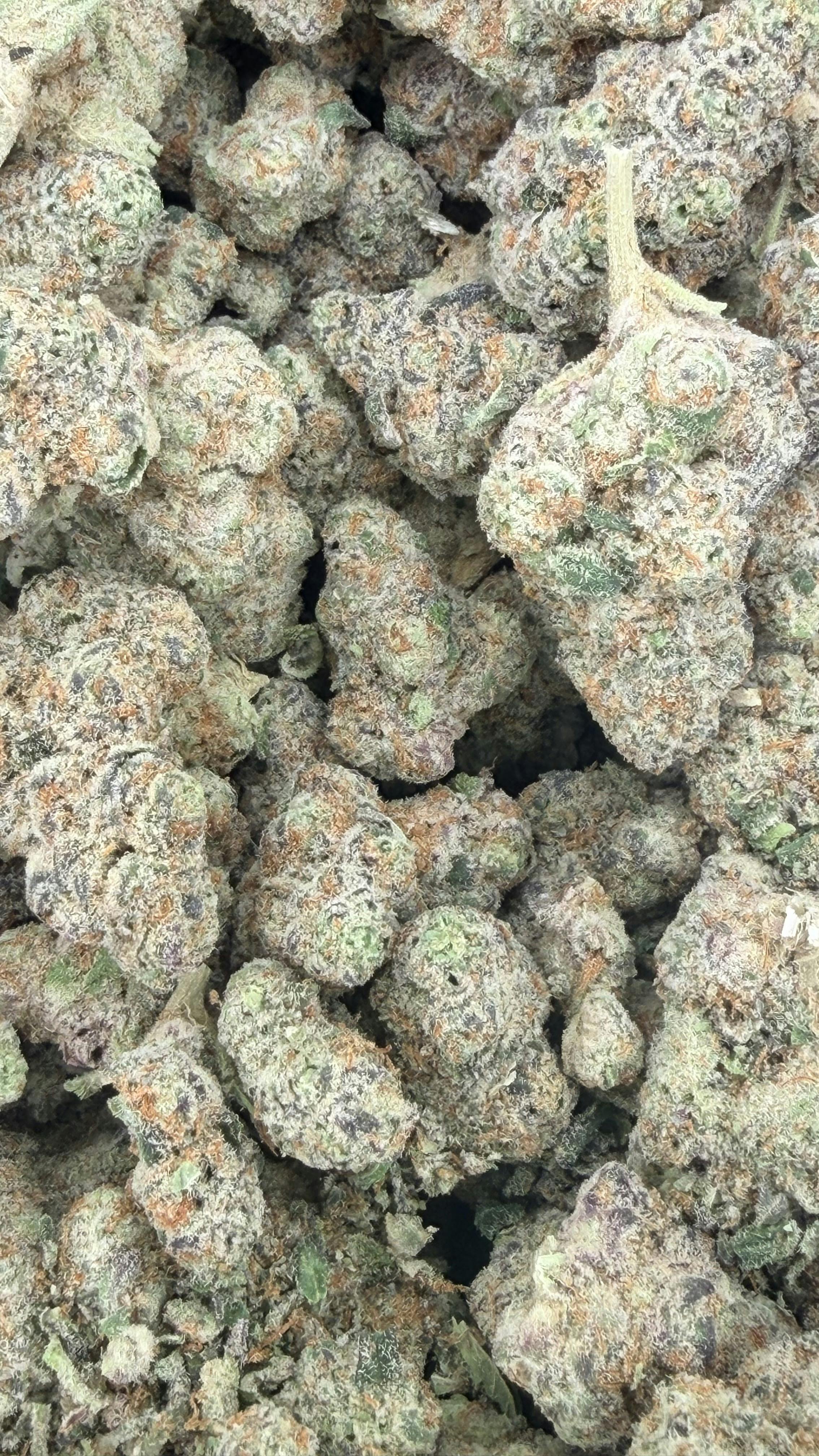 Glitter Bomb | Deli Flower (Gold)