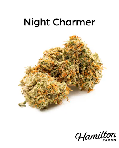 Hamilton Farms | Night Charmer | Single Pre-Roll | 1g-1