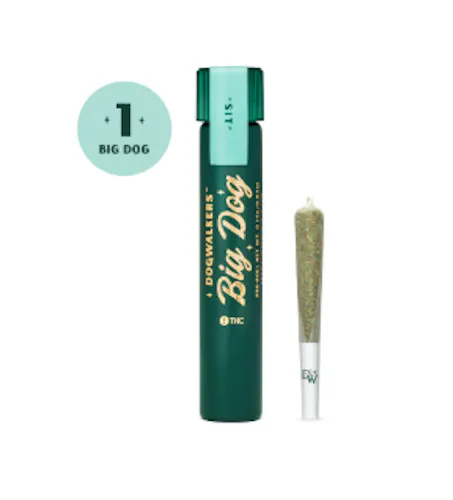 Brownie Scout Big Dog Pre-Roll | 0.75g-1