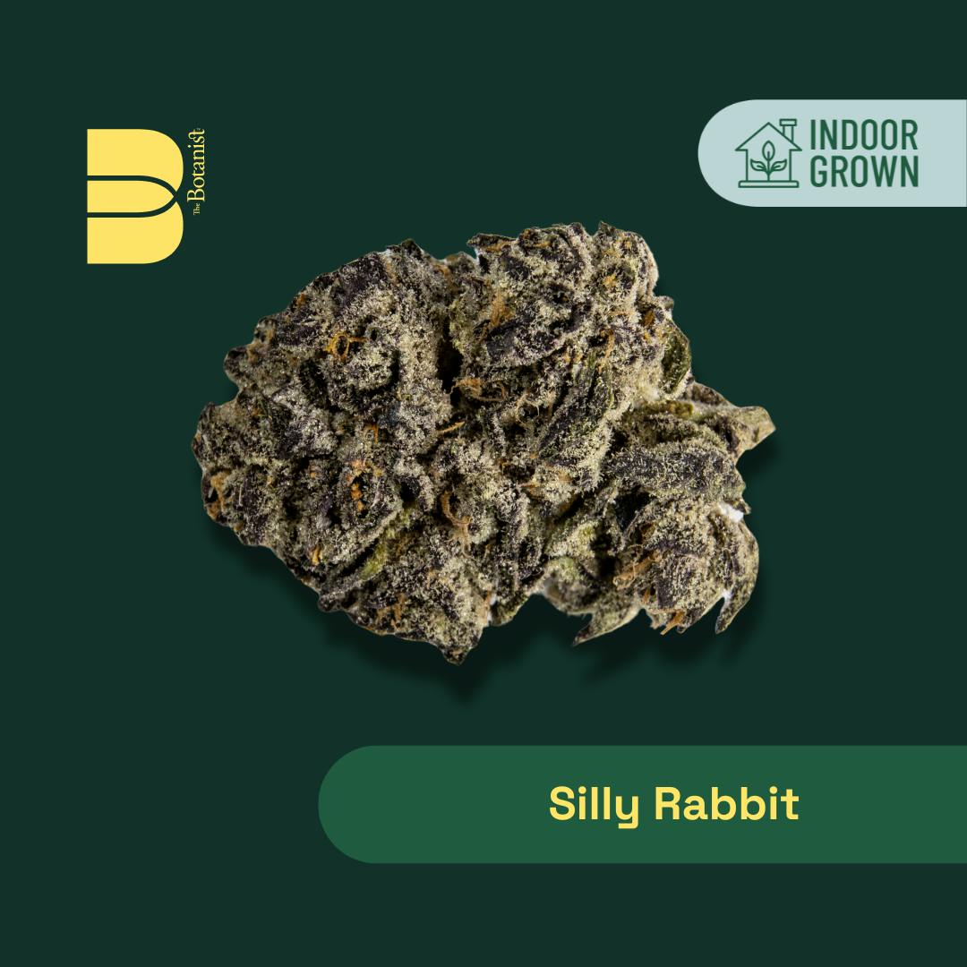 The Flowery NY | The Botanist Silly Rabbit