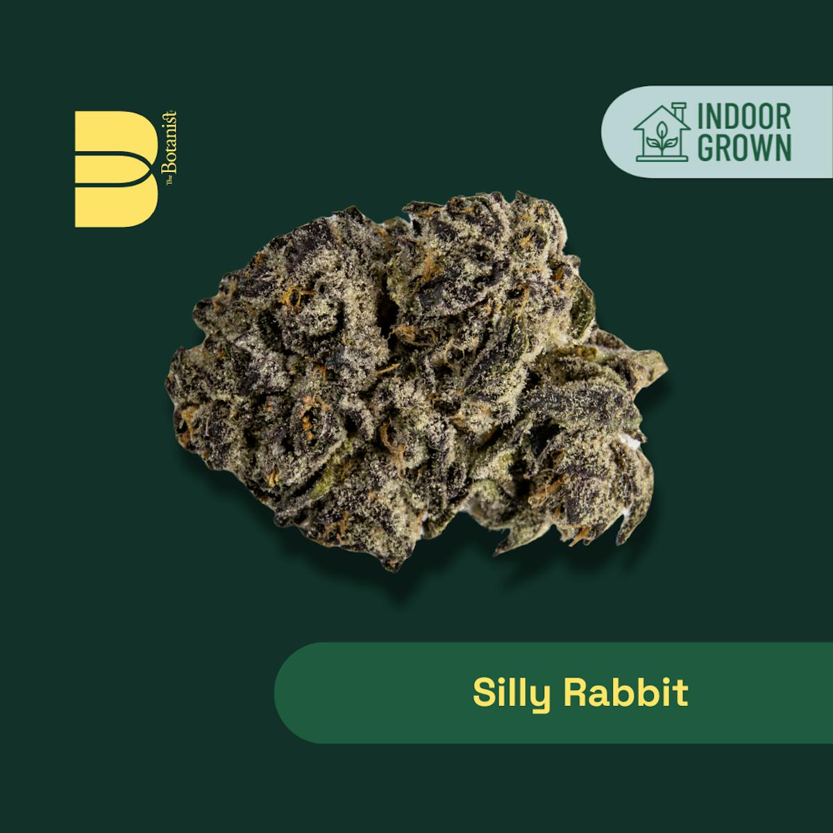Photo of The Botanist I Silly Rabbit I Whole Flower I