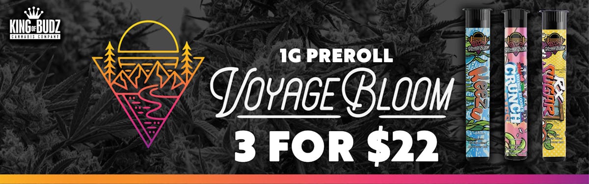 Voyage Bloom - 1g Preroll - 3/$22