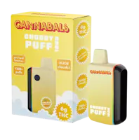 Vaporizers - Planet Nugg