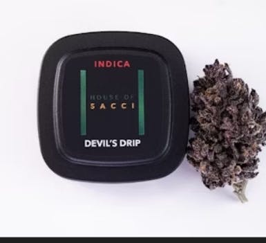 House of Sacci Flower | 3.5g | Devil's Drip