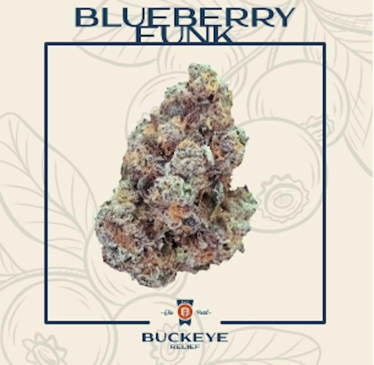 Photo of Blueberry Funk