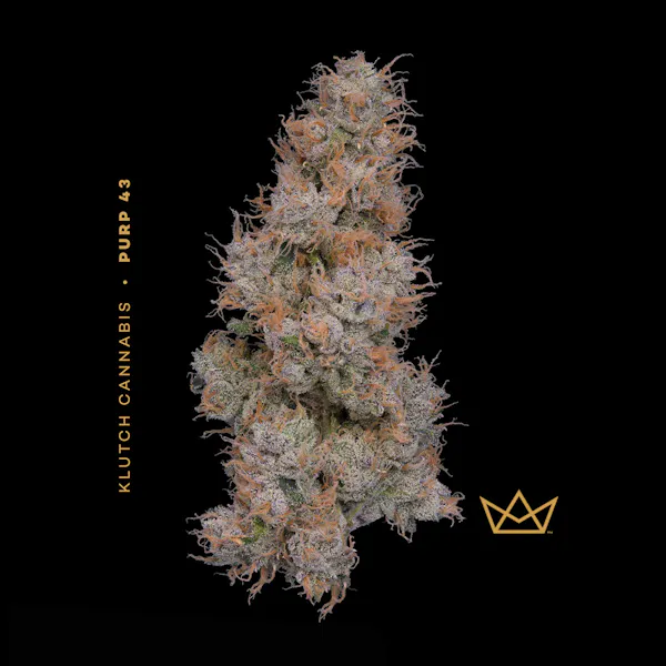 Tangie Dream 2.83g Flower | The Standard |