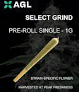 Chkn n Wflz Single