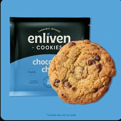 Product KR Enliven Cookies - Chocolate Chip 10mg (1pk)