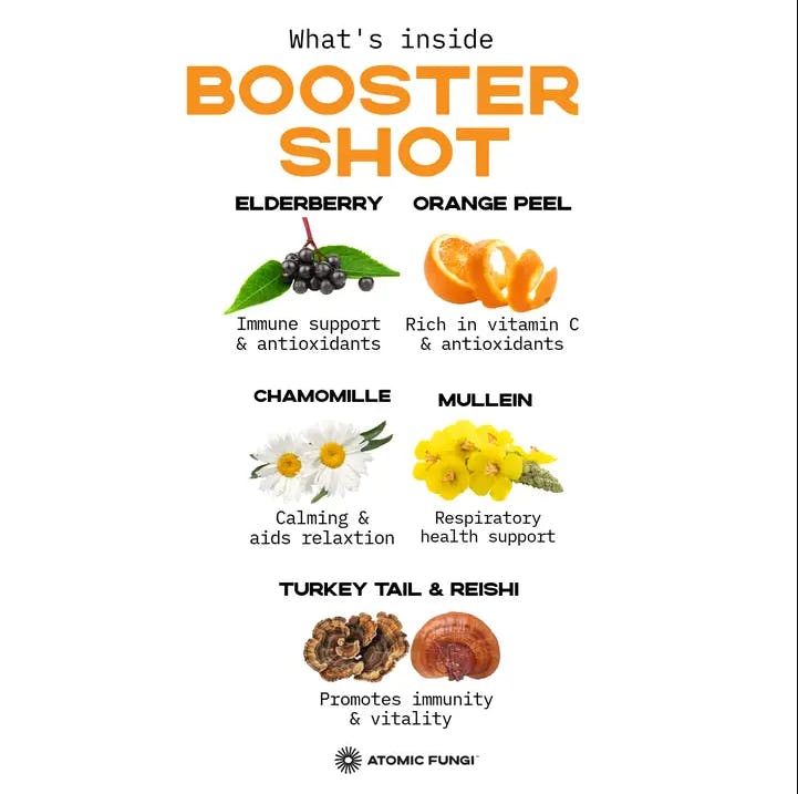 Product: Atomic Fungi | Booster Shot - Elderberry Citrus Turkey Tail and Reishi Mushroom Tea