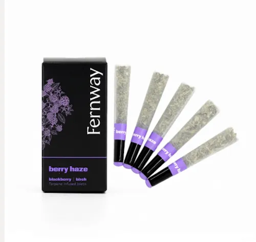 Berry Haze 5pk 2.5g-1