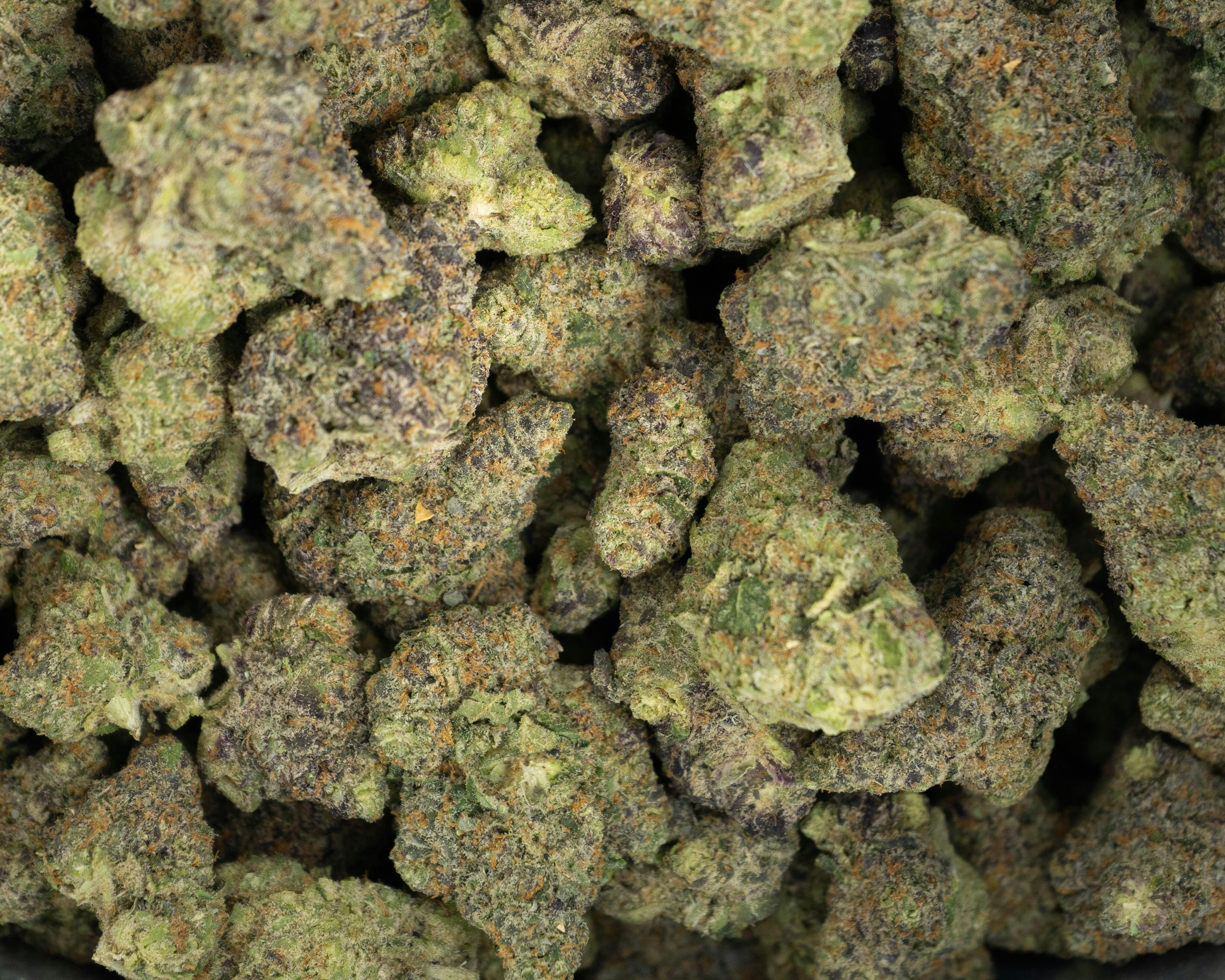 FUEL CANNABIS | TURTLE TAFFY | BULK | INDICA/HYBRID