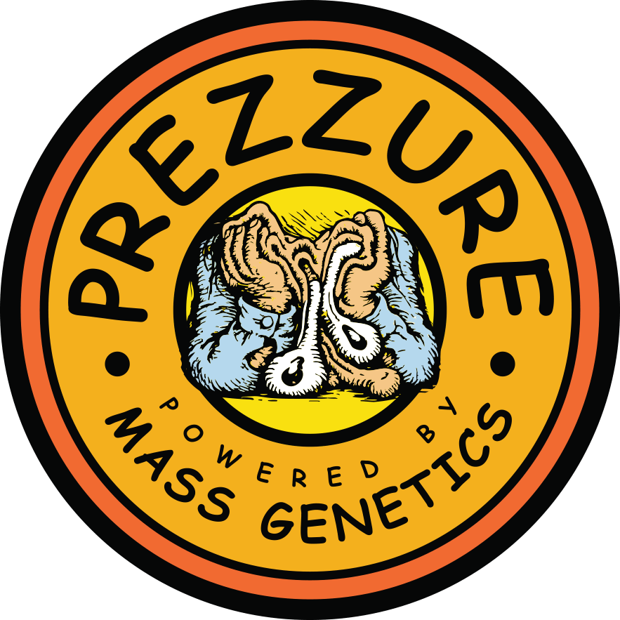 Product Aura | Prezzure | Flower