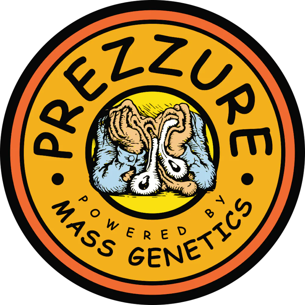 Product Aura | Prezzure | Flower
