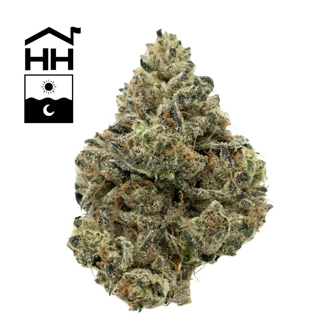 Product CASA - Garlic Drip - Popcorn Nugs