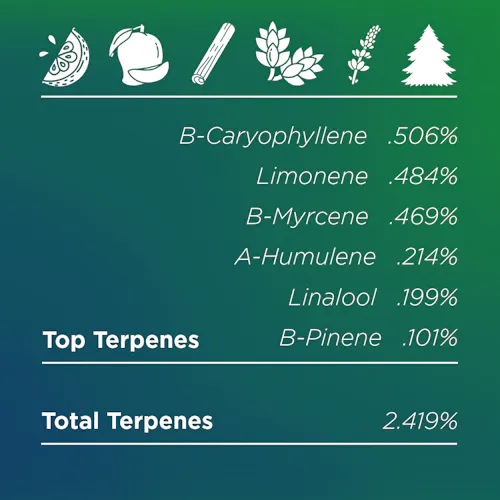 Deli Style | Ghost Dawg – Indica Hybrid-2
