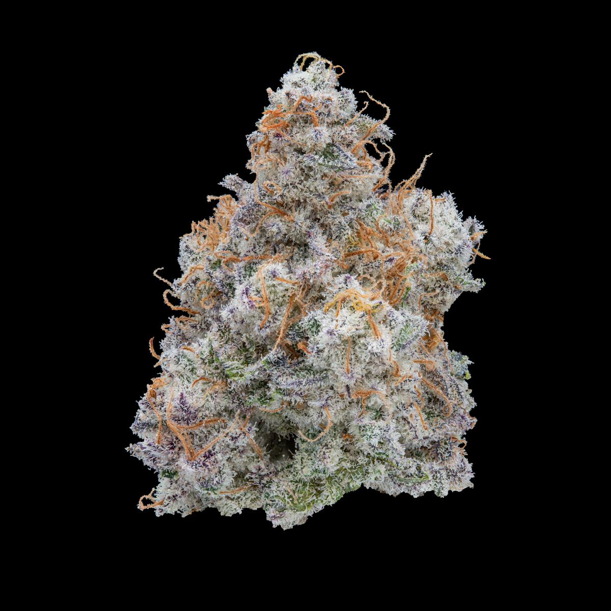 Photo of MAC 1