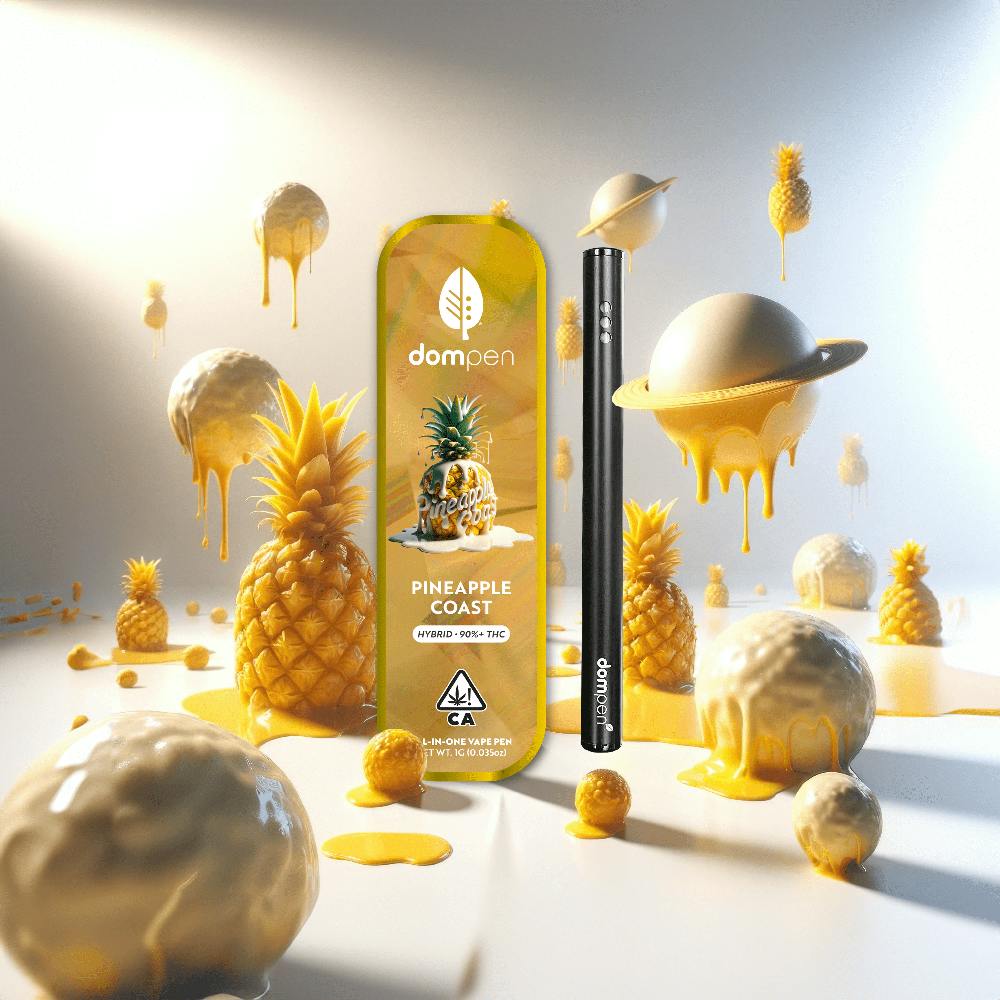 Dompen | Pineapple Coast | Classic | AIO