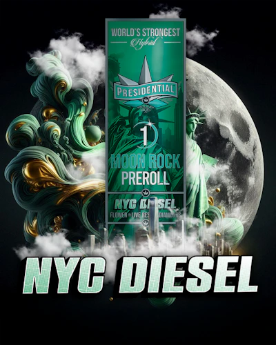 Presidential - 1g Moon Rock Infused Preroll - NYC Diesel