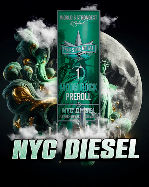 Presidential - 1g Moon Rock Infused Preroll - NYC Diesel