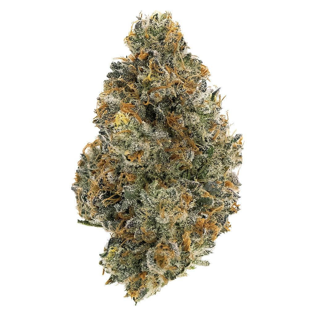 Flower | Northern Canna - Frosted Tiger Nuts - Indica