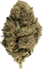 Bulk Flower | Fresh Canna | 30% OFF