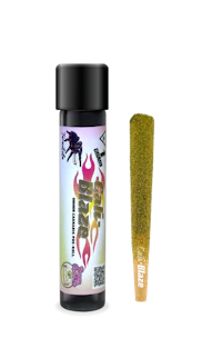 Banana Cream Pie Tarantula | 1g - product image at King of Budz
