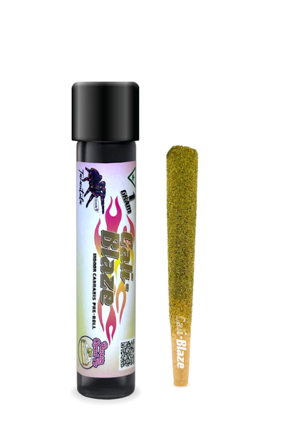 Banana Cream Pie Tarantula | 1g - PRE_ROLLS by Cali-Blaze at King of Budz