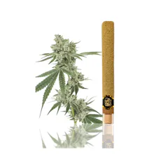 Left Coast - 2g Infused Blunt - Maui Waui