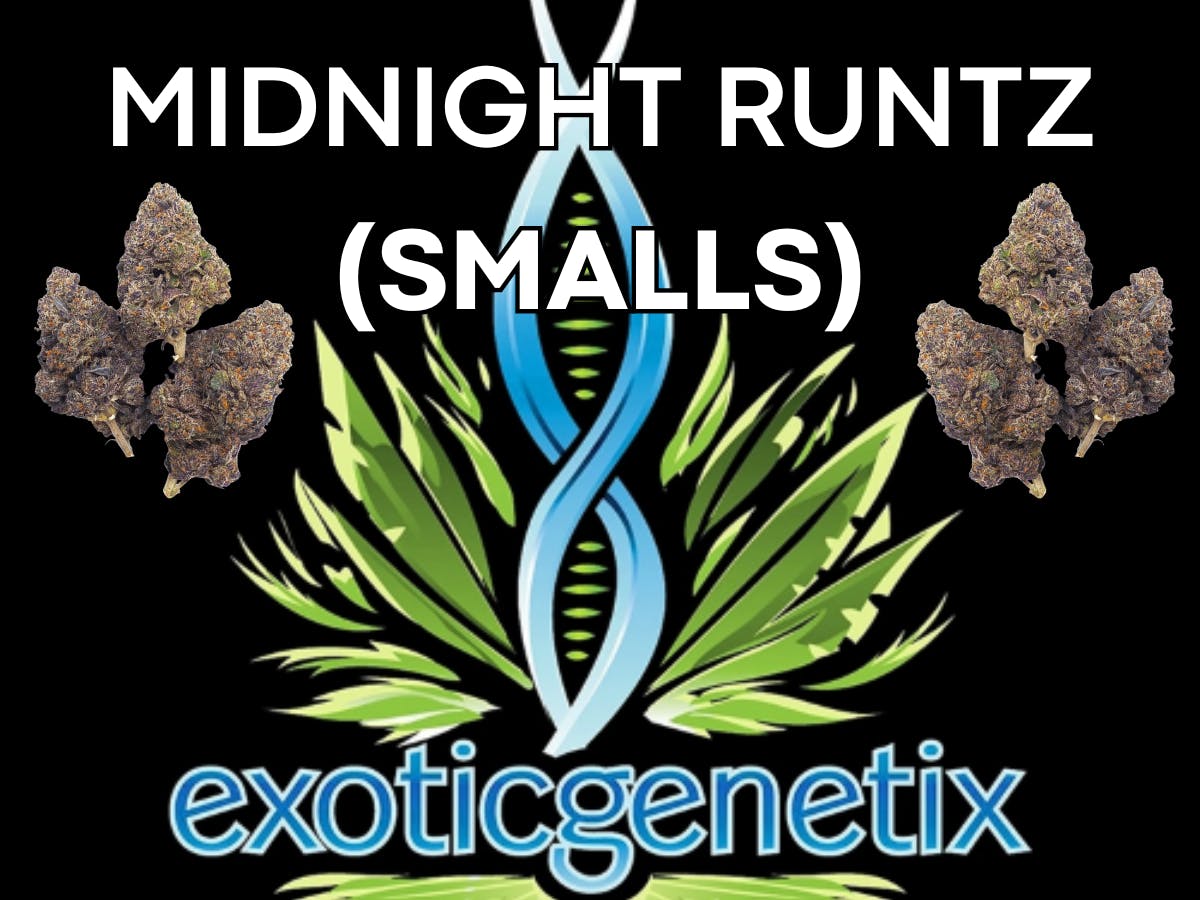 Exotic Genetix EXOTIC GENETIX | MIDNIGHT RUNTZ | SMALLS | BULK | INDICA/HYBRID — FLOWER