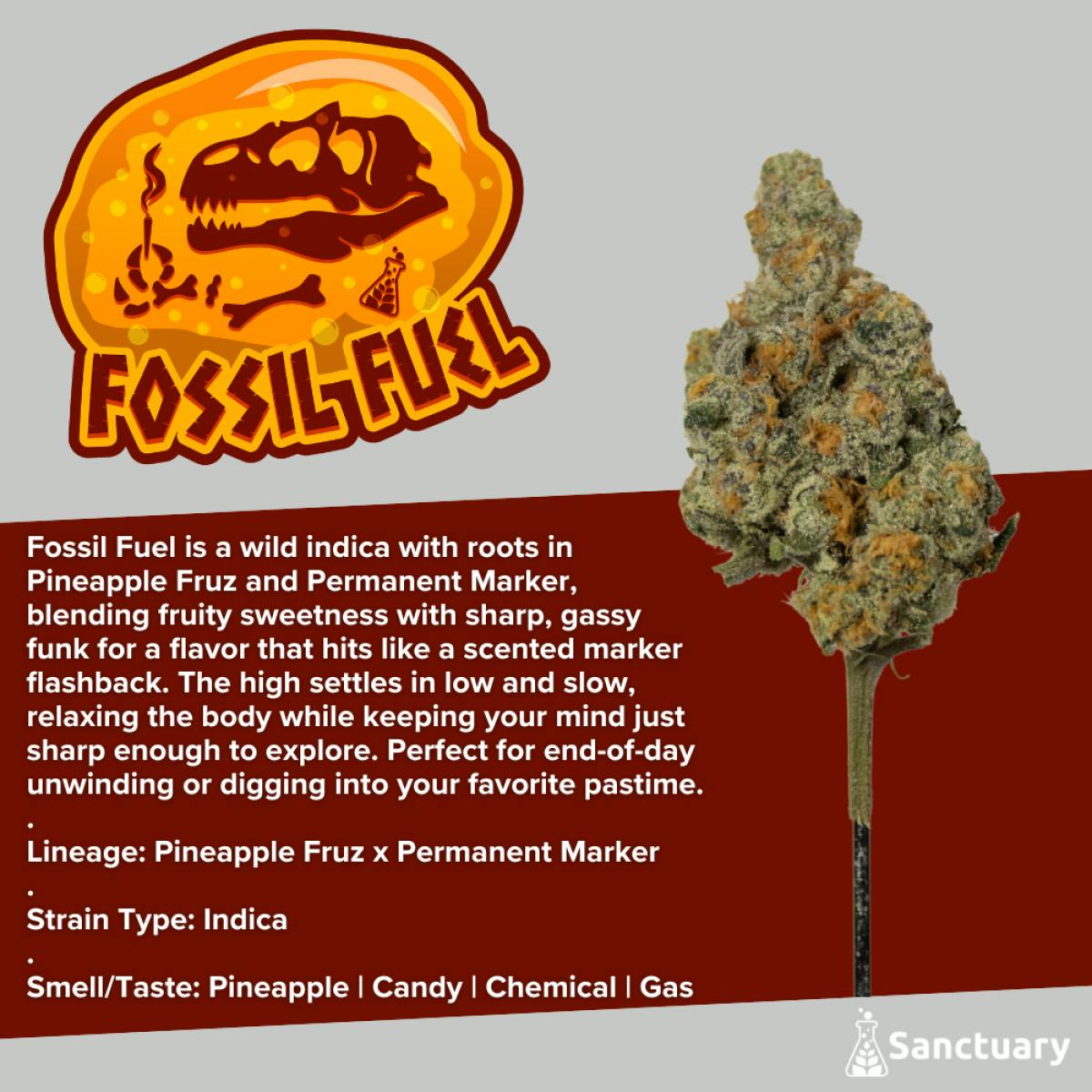 Sanctuary - Pre-Roll 1g - Fossil Fuel