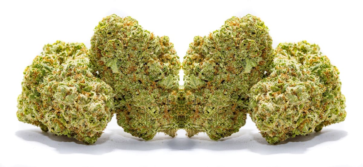 Photo of Platinum Shelf – Apple Runtz (H)