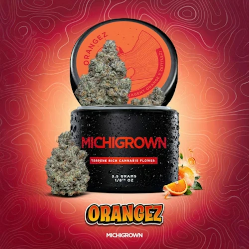 Michigrown - 3.5g Prepack Jar - Orangez