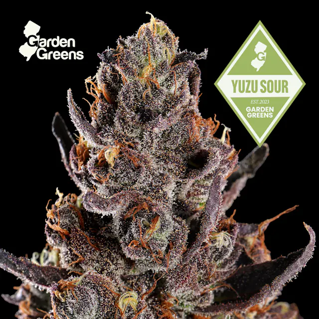 Garden Greens Big Buds Yuzu Sour 7g (sativa hybrid, whole flower)