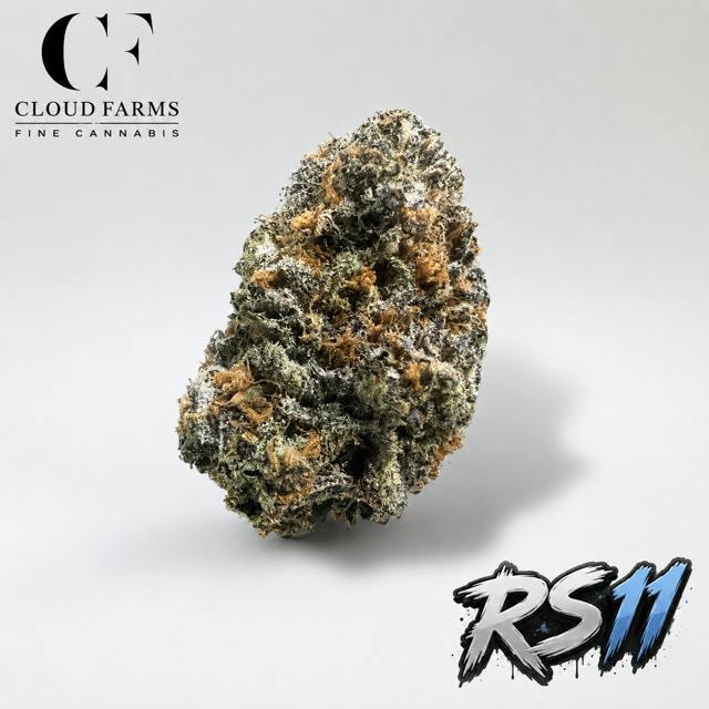 Cloud Farms | Bulk Bud - RS11