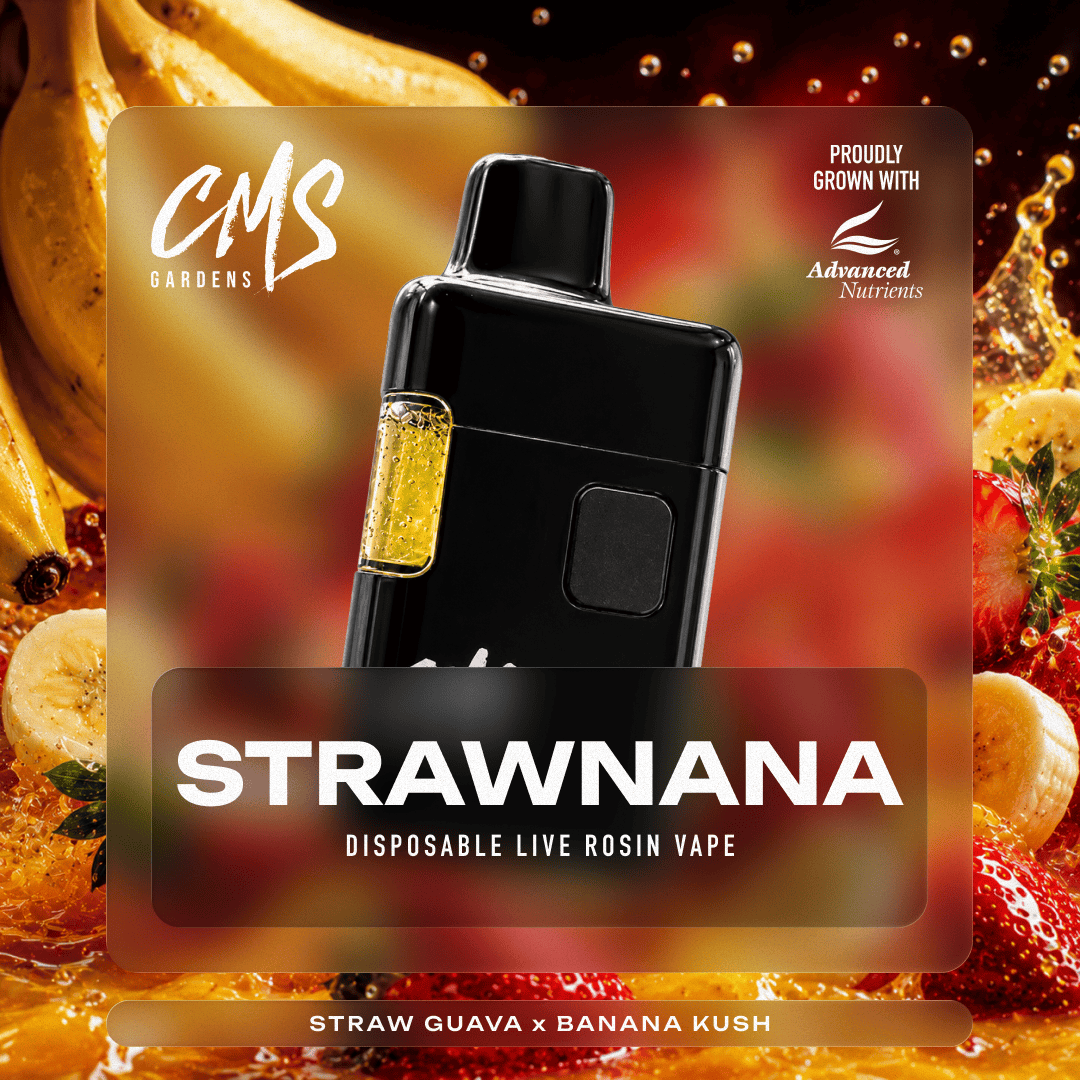cms gardens disposable vape at Mother Earth Wellness - Pawtucket Flavor:Triple Apple Ice monster bars vape near 60000 puffs