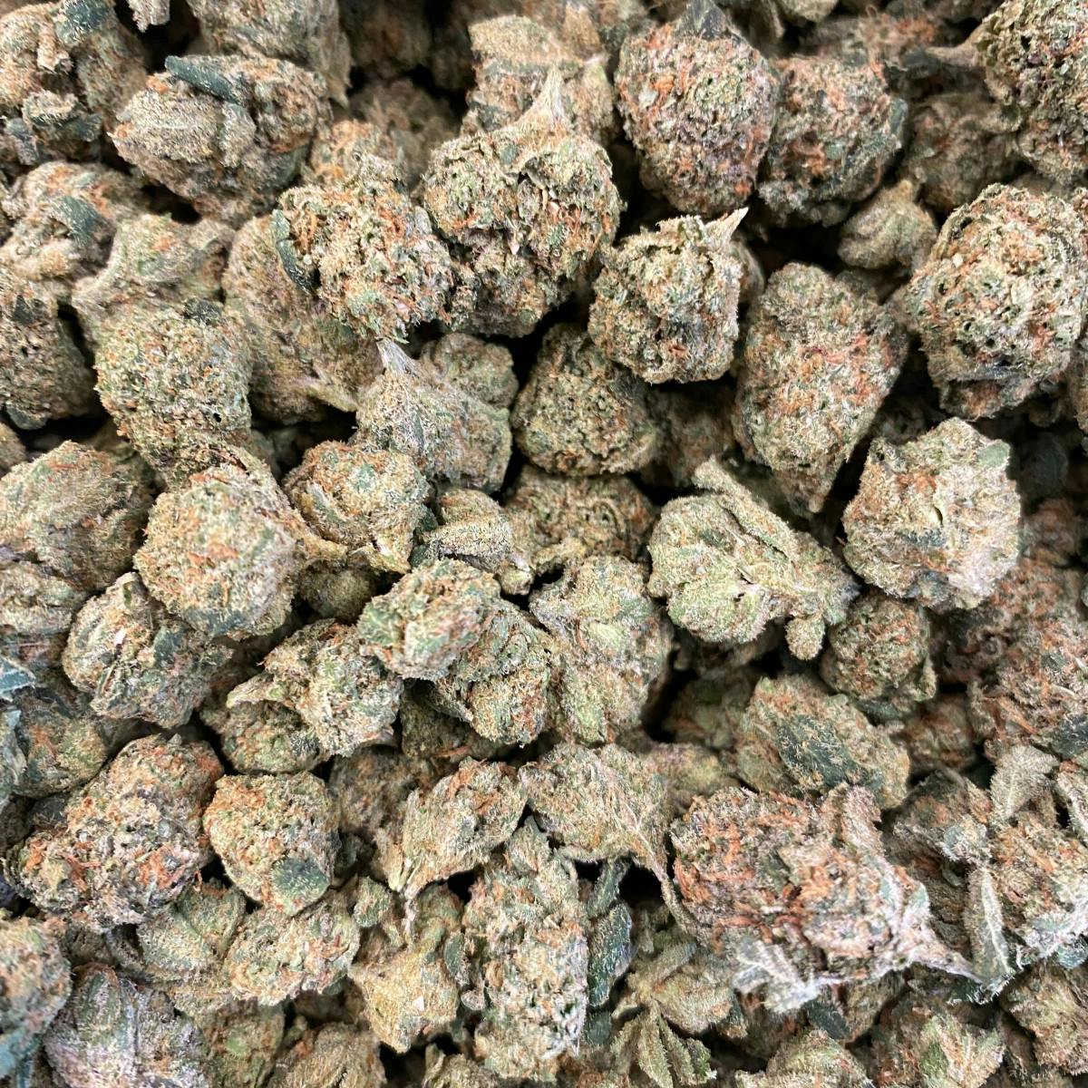 Photo of Coastal Healing Bulldozer 3.5g