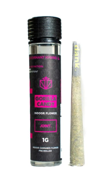 Gorilla Candy | Single